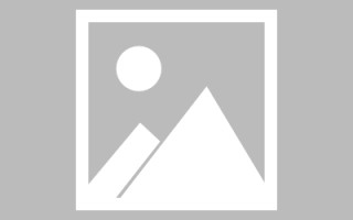 佛山秋叶高清素材下载网站（秋叶视频素材）